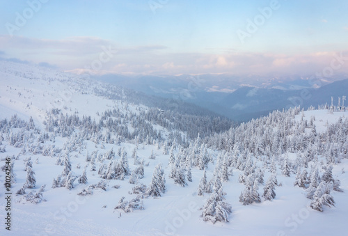 Beautiful winter landscape in the Carpathian mountains © Ryzhkov Oleksandr