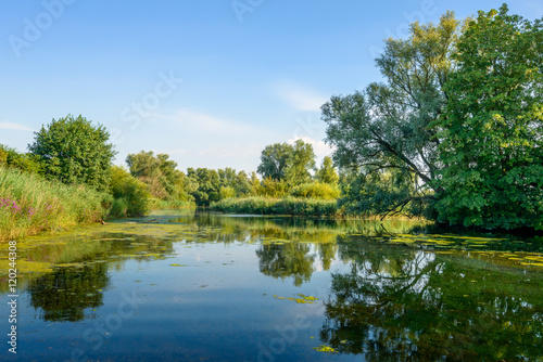 Colorful landscape with trees and a natural pond in summertime