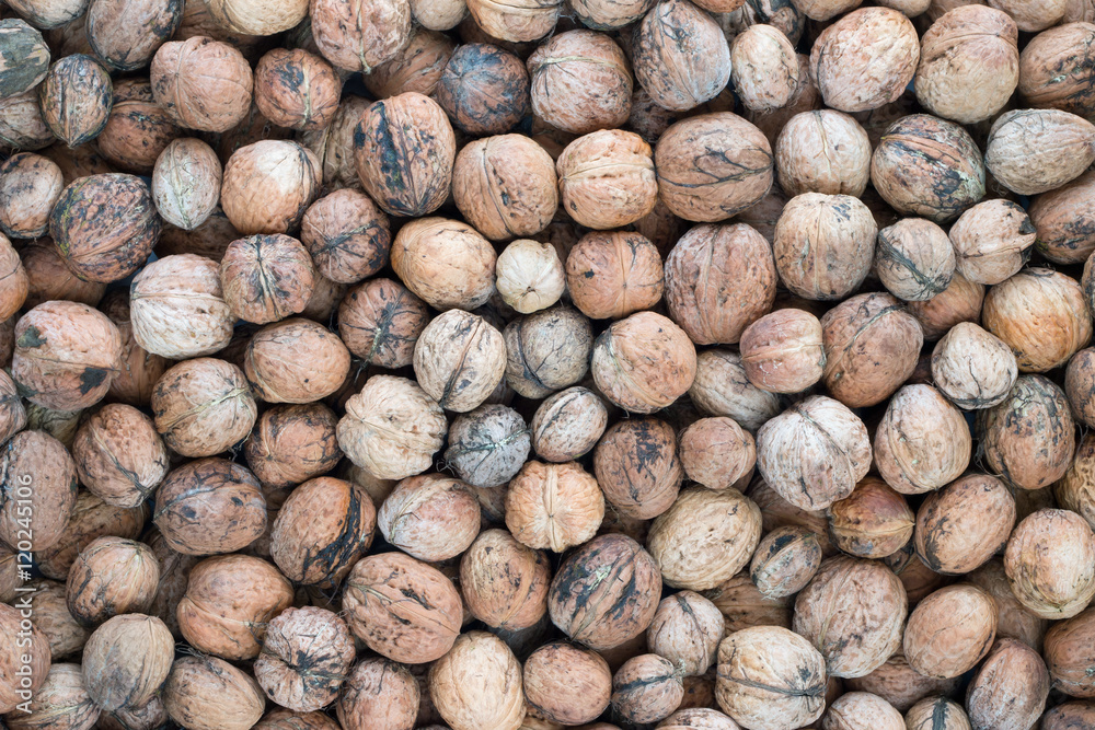 Walnuts Walnuts