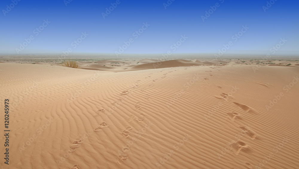 Pegadas no deserto Pegadas no deserto