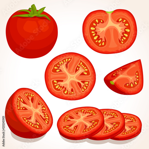 Set of different tomatoes isolated on background. Vector illustration. Whole, sliced, quarter, half of a tomato fruit.