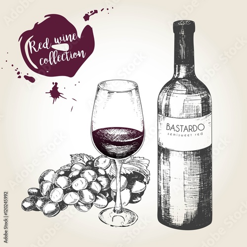 Vector set of red wine in vintage style. bottle, glass and grape. Use for restaurant, cafe, store, food, menu, design.