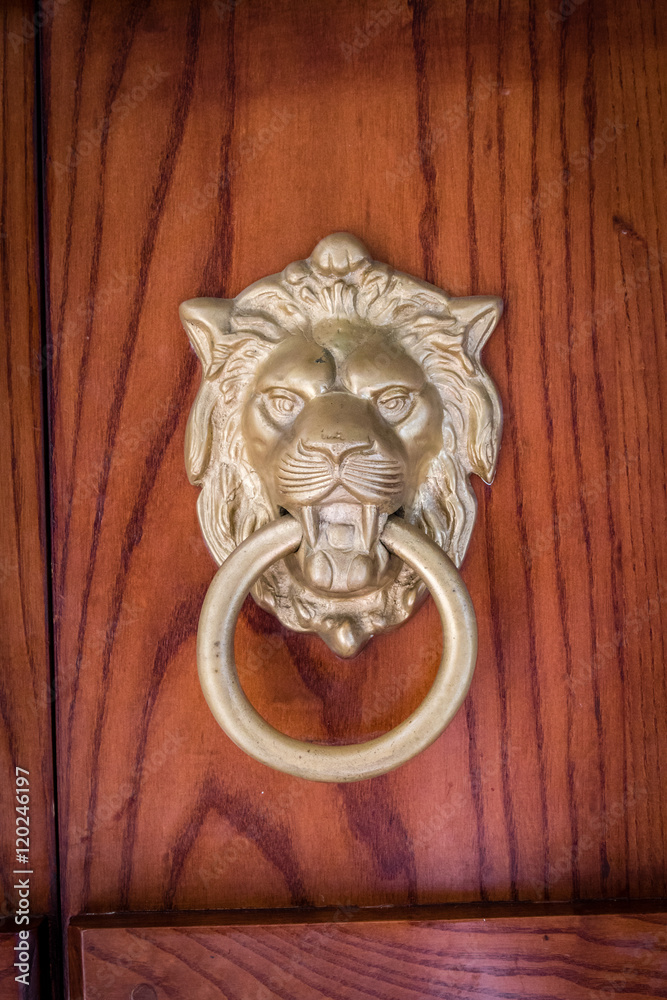 Lion door knob Lion door knob