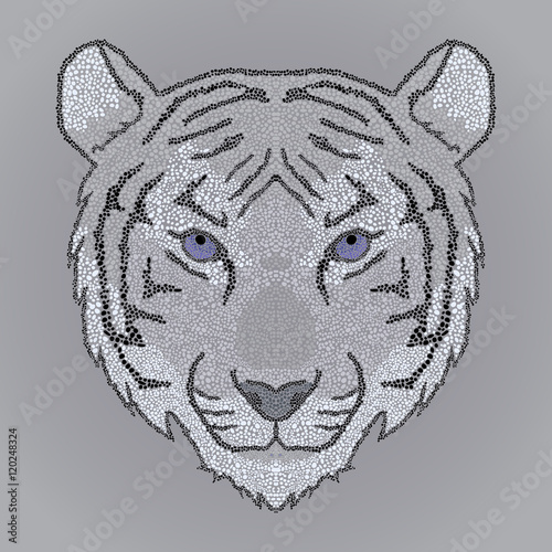Fototapeta Naklejka Na Ścianę i Meble -  Figured decorative mosaic tiger face, ornament tiger face for shirt design or items print