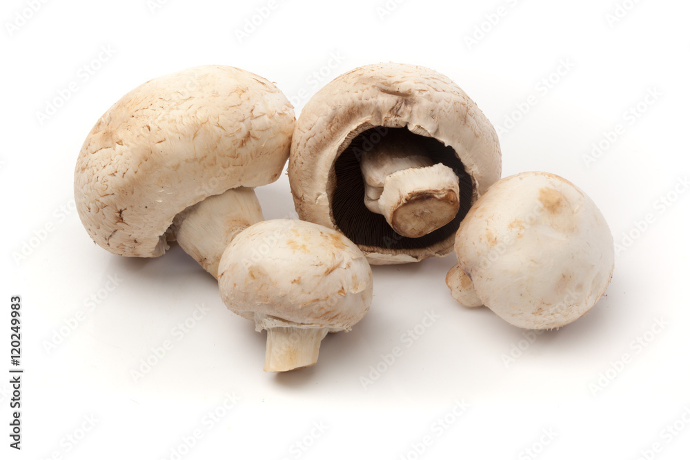 Weisse Champignon Pilze, Freisteller auf weissem Hintergrund Weisse Champignon Pilze, Freisteller auf weissem Hintergrund