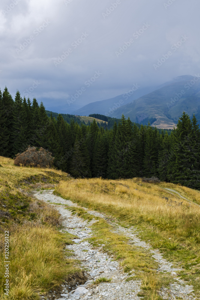 The road to the top of a mountain range covered with grass