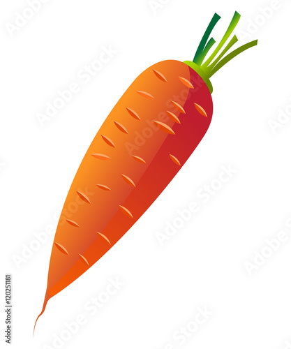 Fresh carrot