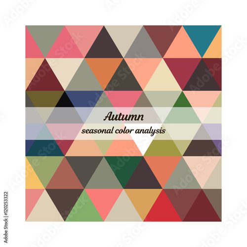 Stock vector seasonal color analysis palette for autumn type. Type of female appearance
