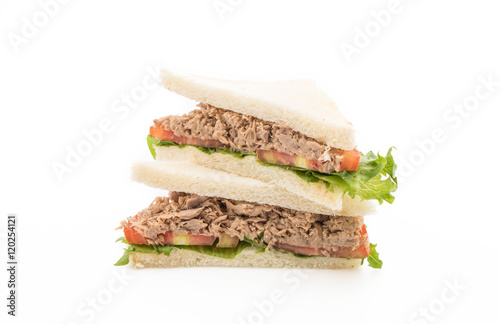 tuna sandwich on white