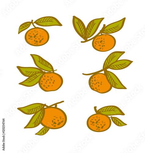 orange hand drawn element. ...