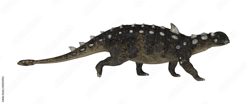 3D Rendering Dinosaur Euoplocephalus on White 3D Rendering Dinosaur Euoplocephalus on White