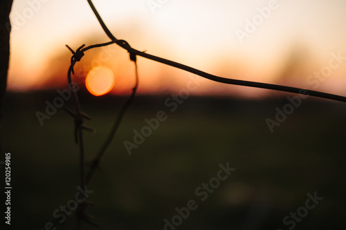 barbed wire on sunset sky background