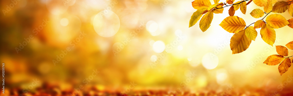 Gelbe Blätter im Herbst verzieren einen breiten unscharfen Hintergrund aus Glanzlichtern im Wald