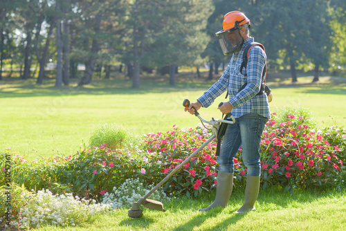 trimming the grass photo