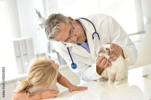 Kid watching her cat while at the veterinary