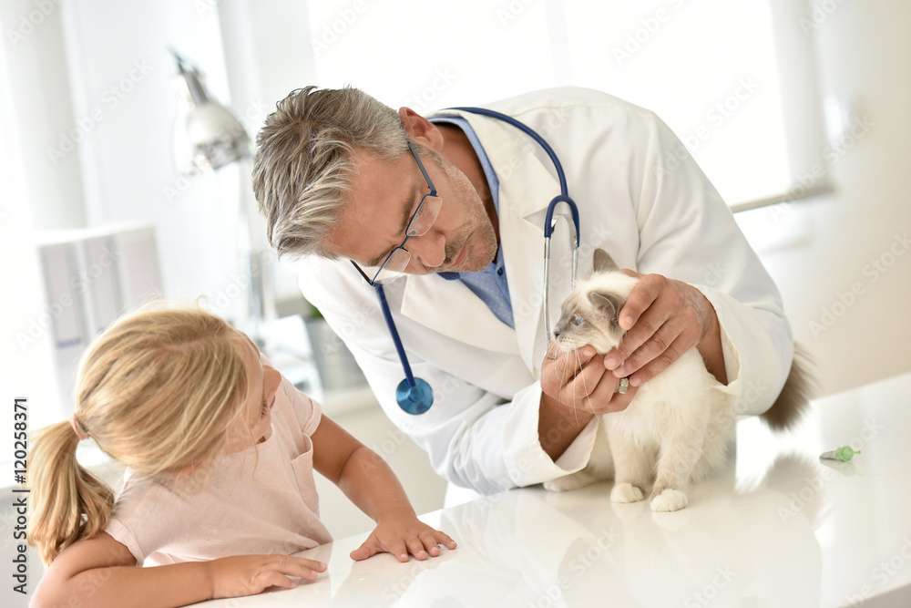 Kid watching her cat while at the veterinary Kid watching her cat while at the veterinary