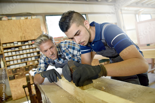 Carpenter with apprentice in training period photo