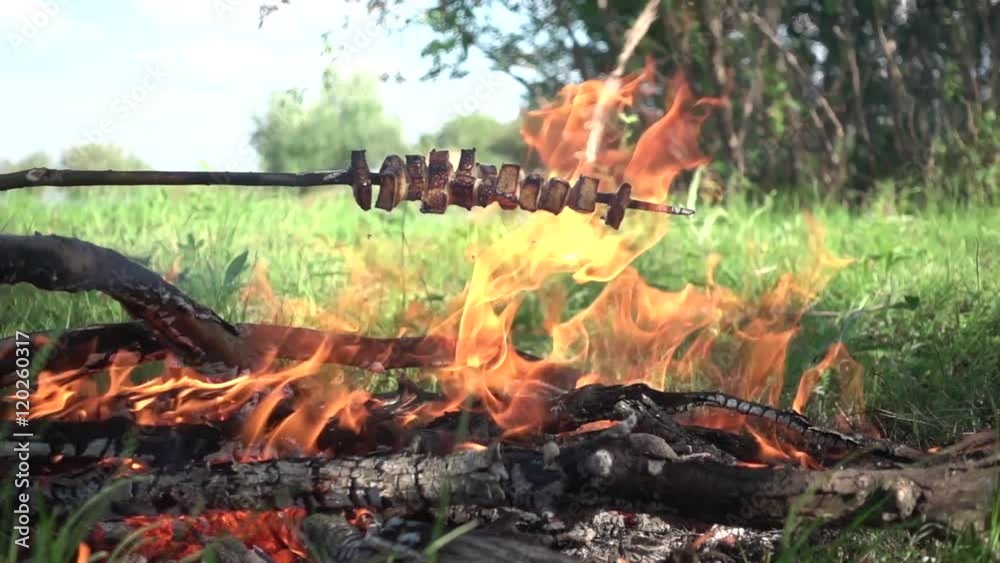 Strung on a Twig Fat Fries and Melts over a Fire. Slow Motion Strung on a Twig Fat Fries and Melts over a Fire. Slow Motion