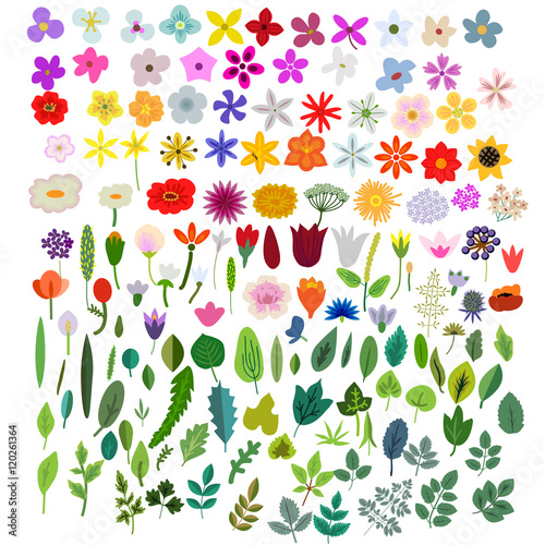 Wallpaper Mural Vector plants elements Torontodigital.ca
