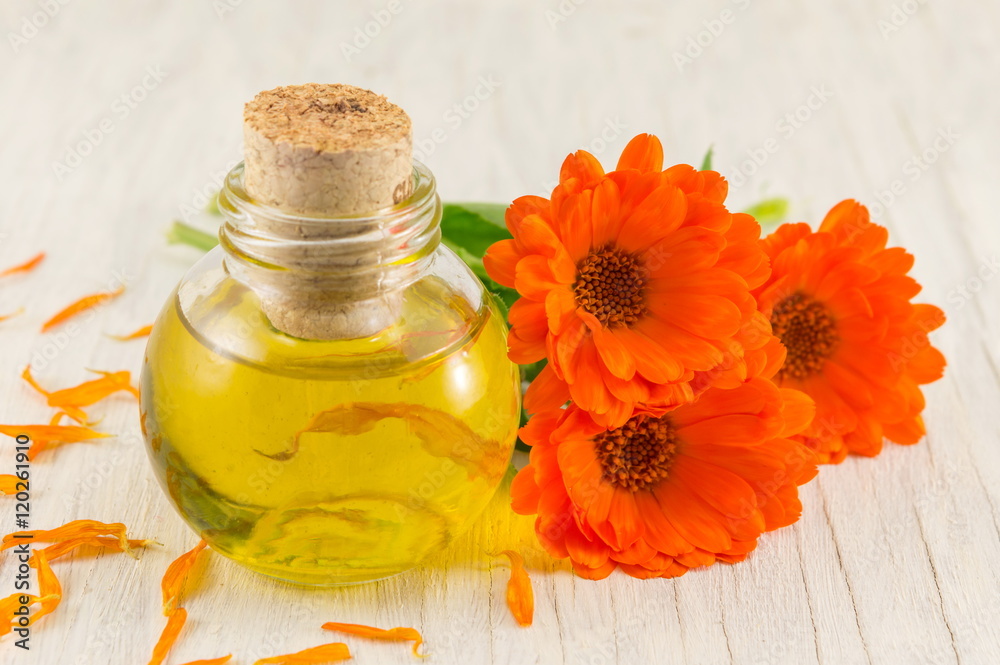 marigold oil with a fresh flower bouquet marigold oil with a fresh flower bouquet
