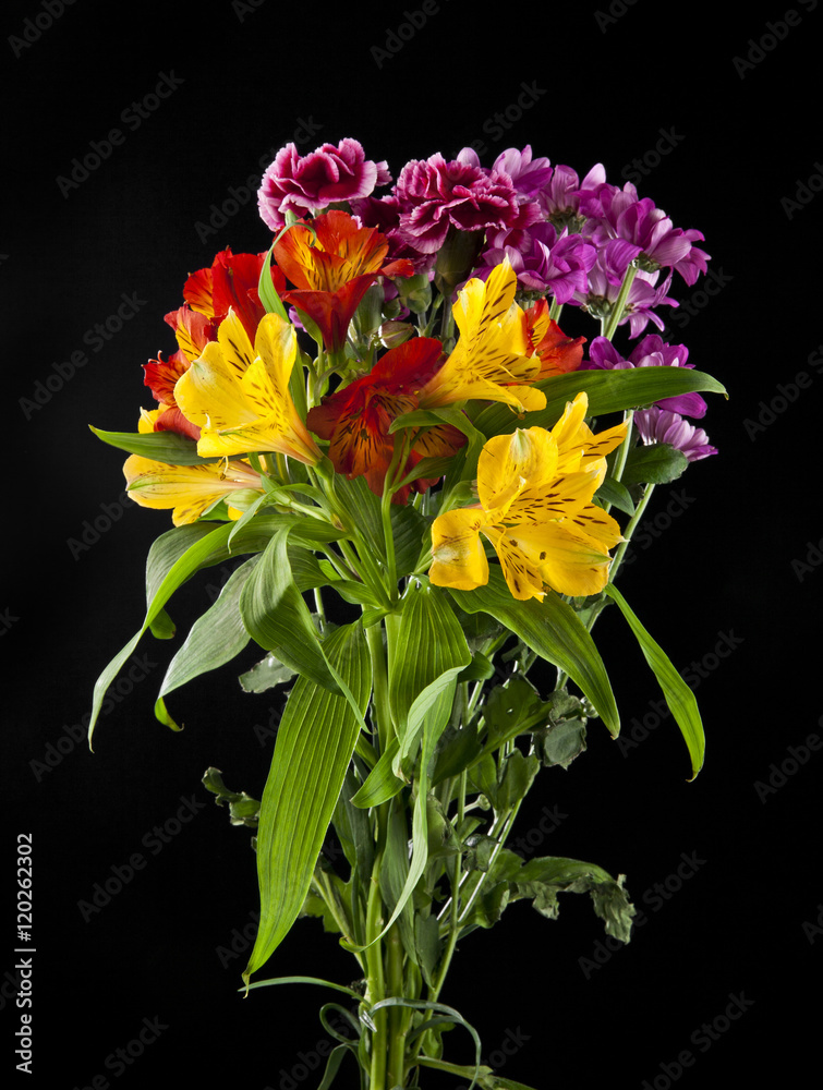 flowers flowers