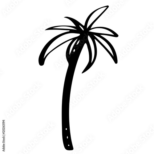 Coconut palm tree logo