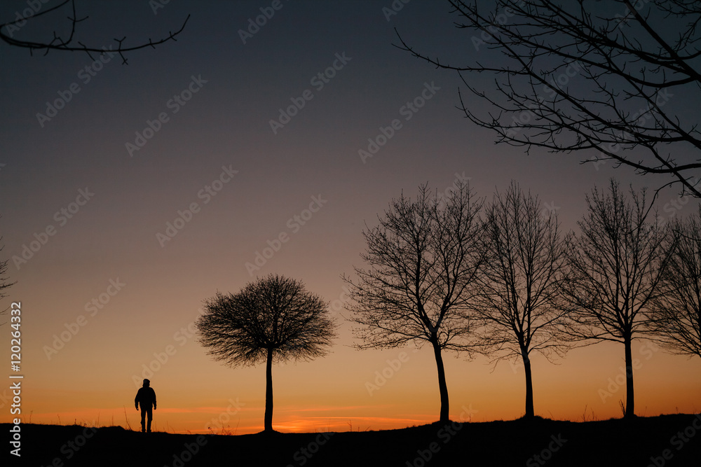 silhouette of a man and a tree at sunset