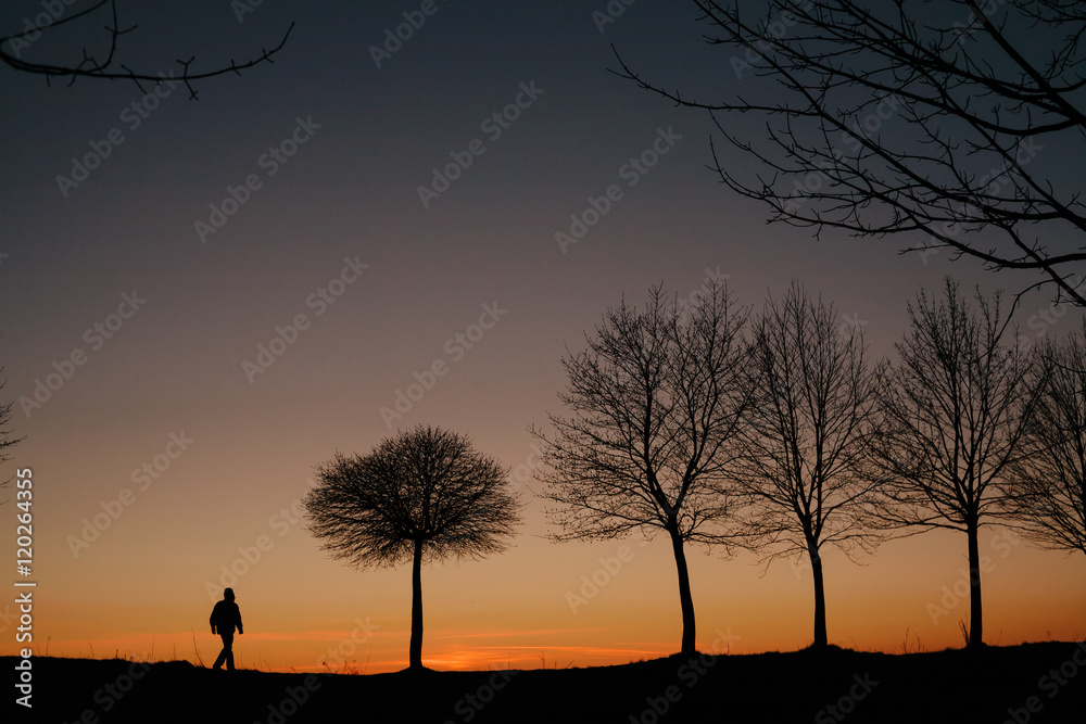 silhouette of a man and a tree at sunset