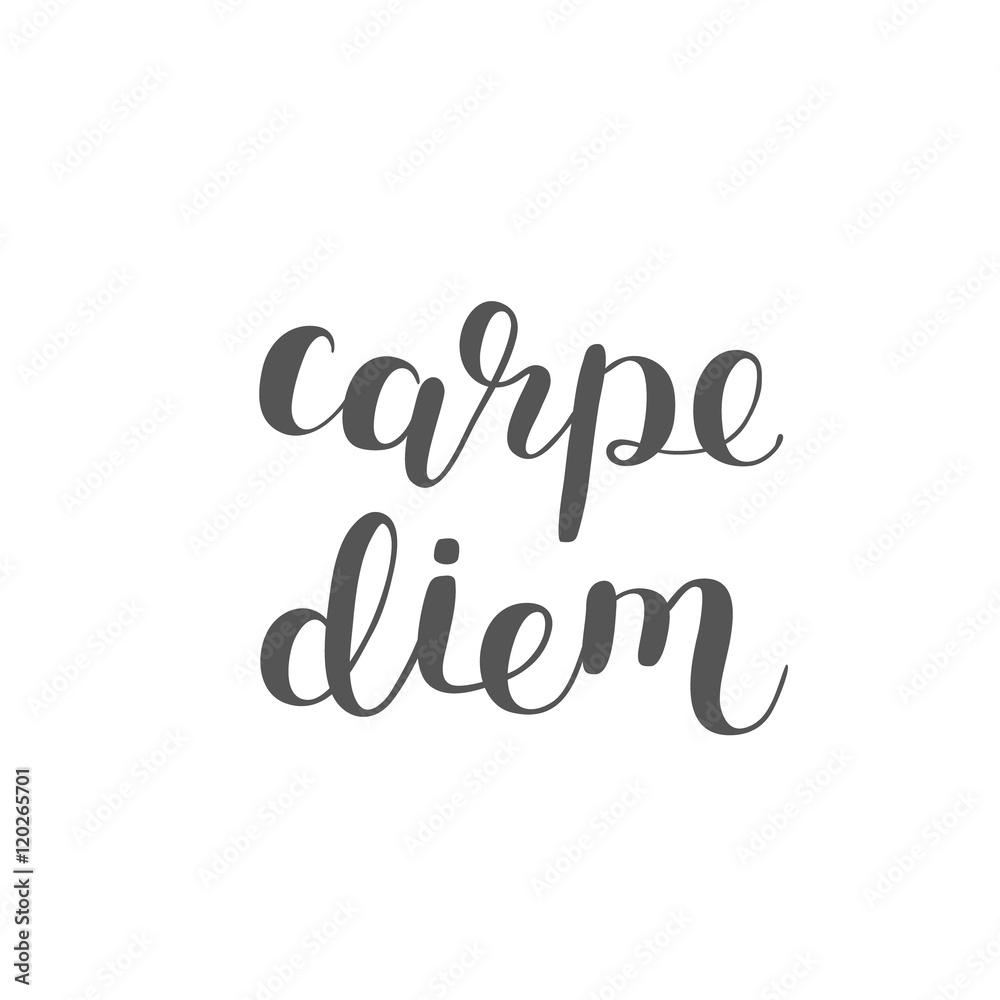 Carpe diem. Seize the day. Brush lettering.