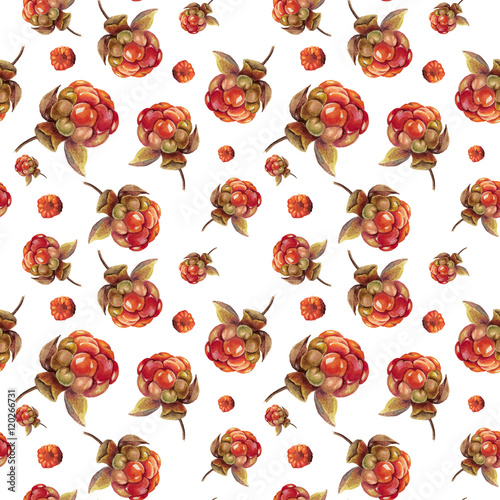 Watercolor berry pattern