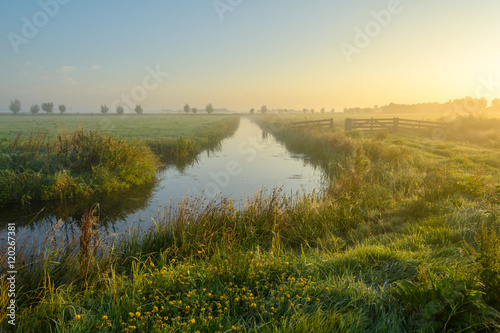 Fototapeta Naklejka Na Ścianę i Meble -  Boterhuispolder in the Mist