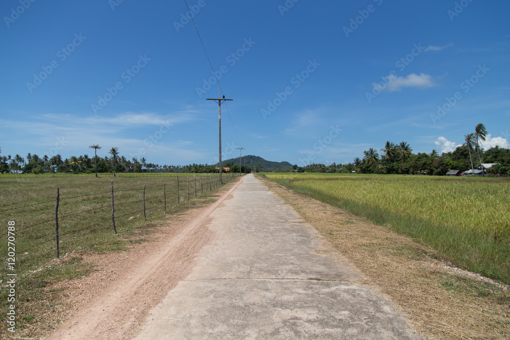 Road along Rice field at Koh Sukorn Island