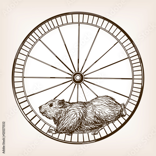 Hamster in a wheel hand drawn sketch vector