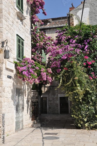 Flowering small square in Split  Croatia