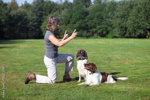 woman teching her two dogs photo