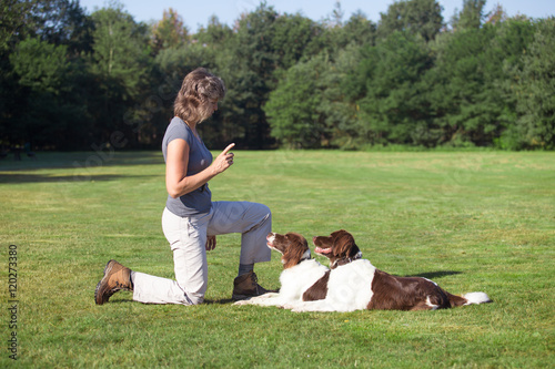 woman traing two dogs in a meadow