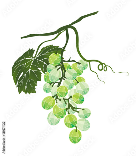 Bunch of green grapes stylized polygonal