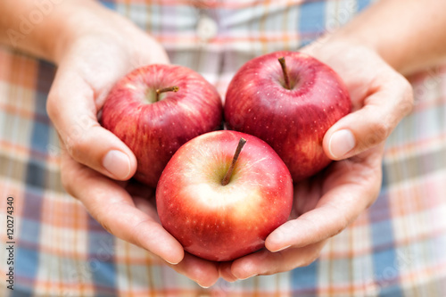 Apples in hands