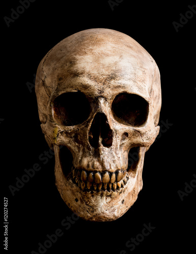 Obraz na plátne skull isolated on black