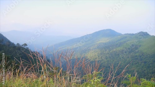 Grass and tree on mountain at PhuSoidao national park,Thailand photo