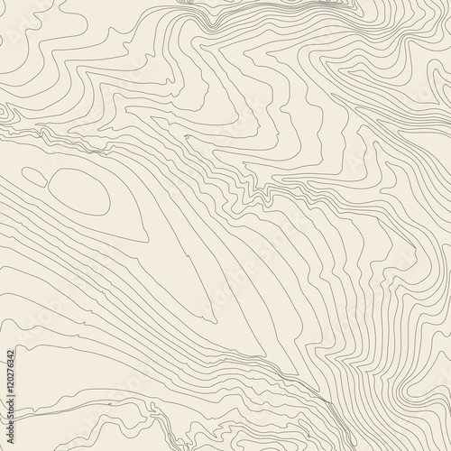 Topographic map background concept with space for your copy. Topography lines art contour , mountain hiking trail , Shape vector design. Computer generated   .