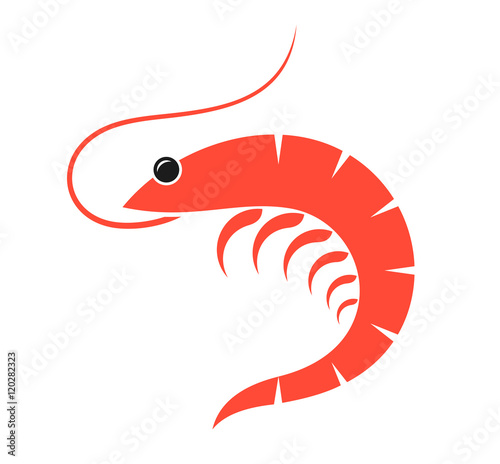 Prawn