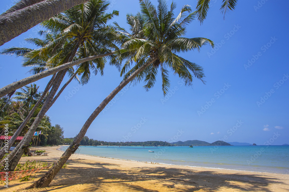 Fototapeta premium Beautiful tropical beach at island Koh Chang