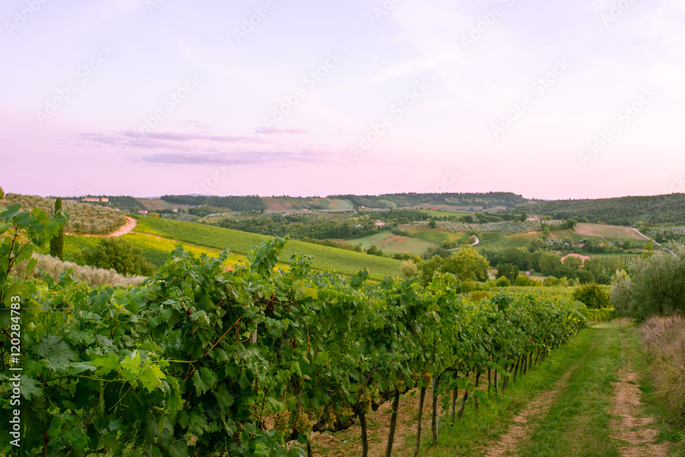 Naklejka premium Provence