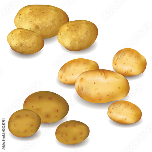 Set of vegetables potatoes isolated on white background