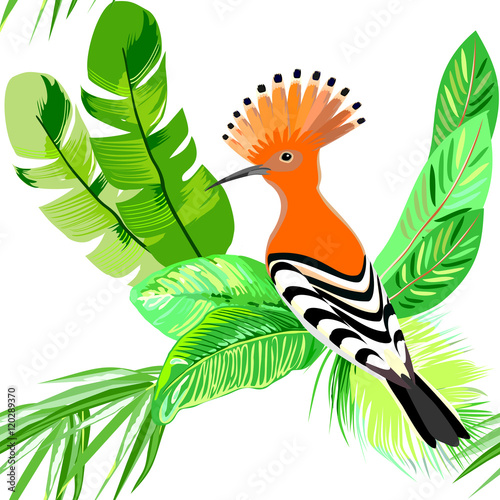 Exotical tropical seamless pattern with palm leaves & hoopoe. Vector.