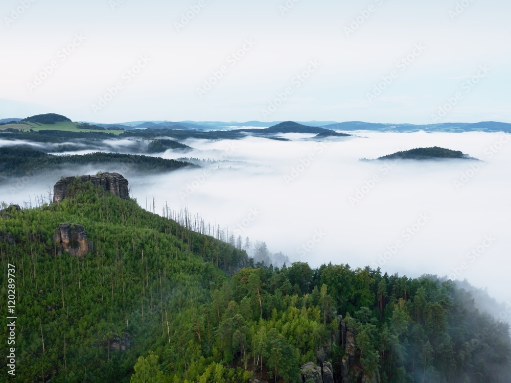 Magnificent heavy mist in landscape. Autumn creamy fog in countryside. Hill increased from fog,