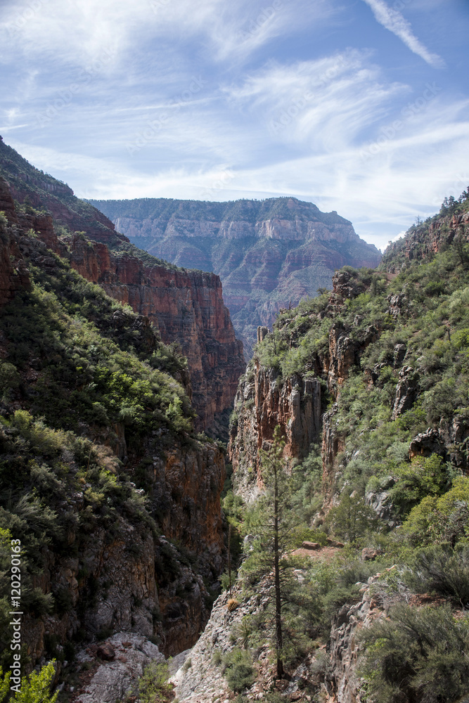 Grand Canyon National Park USA 7 Grand Canyon National Park USA 7