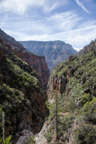 Grand Canyon National Park USA 7