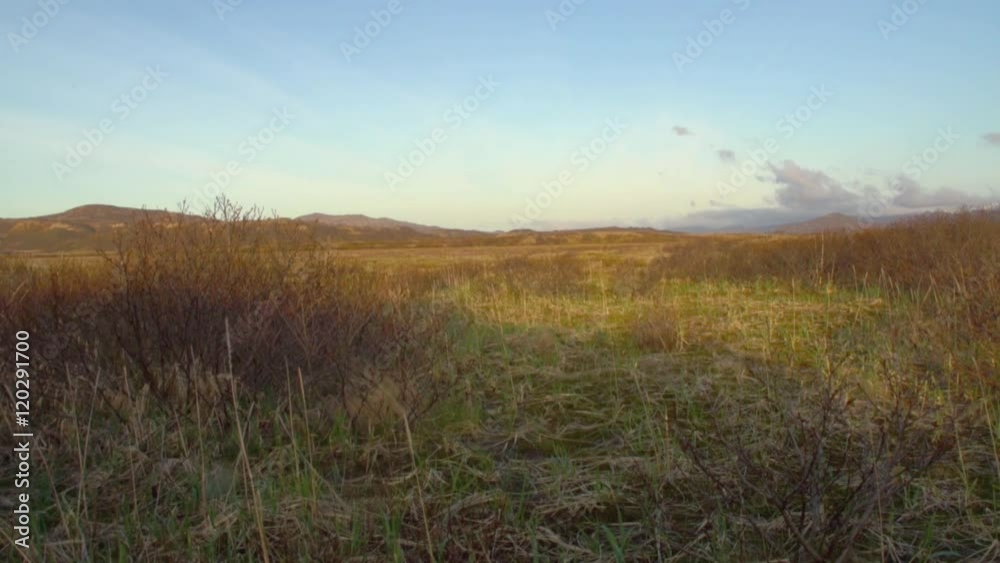 Open field Open field